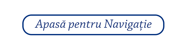 Navigație